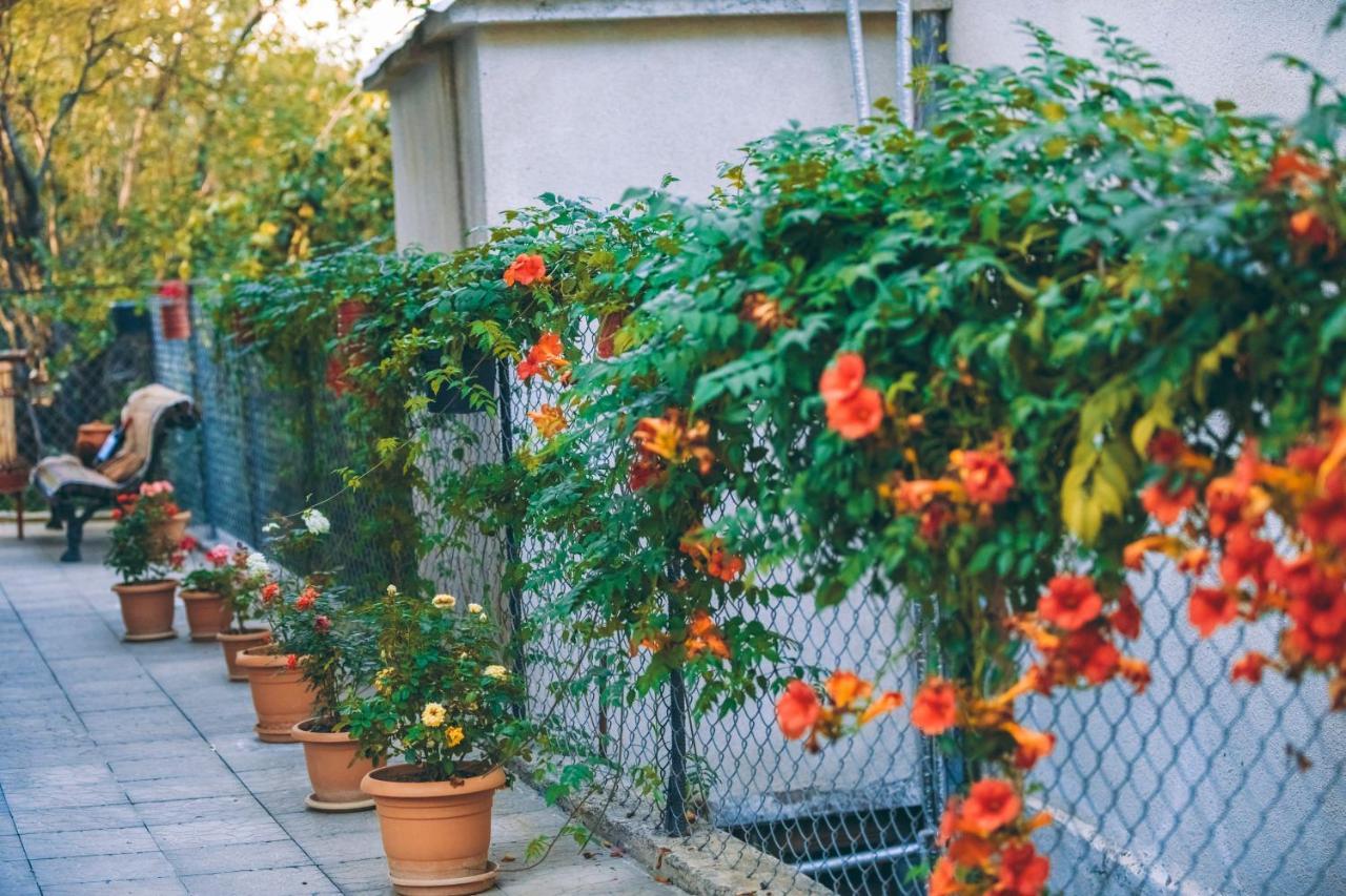Makos Guest House Kutaisi Exterior photo